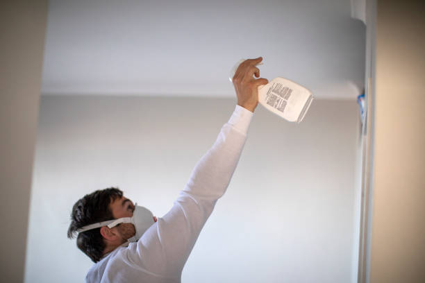 Best Attic Mold Removal  in Bala Cynwyd, PA