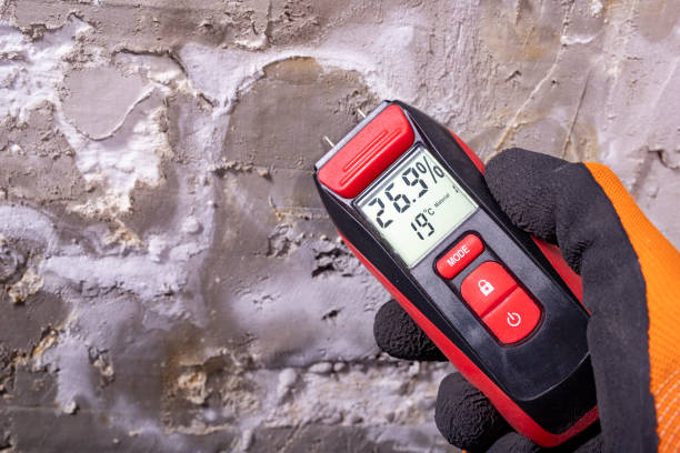 Best Mold Remediation Experts  in Bala Cynwyd, PA