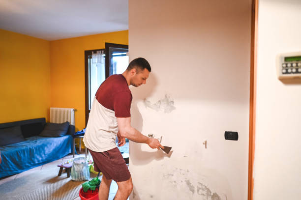 Certified Mold Removal in Bala Cynwyd, PA